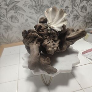 Natural Driftwood and Shell Accent Piece